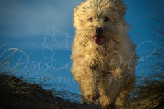 DSC5996_Edited_185-copy_Edited_296