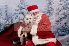 2_Santa-Paws-2