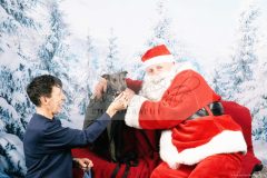 Santa-Paws-18-scaled