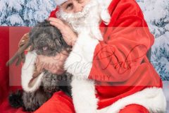Santa-Paws-24-scaled