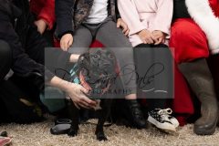 Santa-Paws-29-scaled