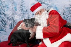 Santa-Paws-34-scaled