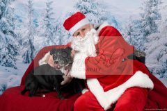 Santa-Paws-35-scaled