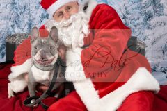 Santa-Paws-40-scaled