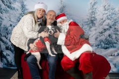 Santa-Paws-47-scaled