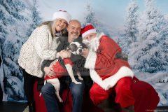 Santa-Paws-48-scaled