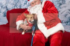 Santa-Paws-50-scaled