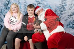 Santa-Paws-52-scaled