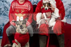 Santa-Paws-53-scaled