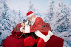 Santa-Paws-56-scaled