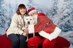 Santa-Paws-60-scaled