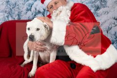 Santa-Paws-63-scaled