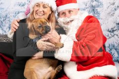 Santa-Paws-9-scaled