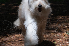 01-D19_2664_Edited_757