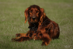 20120329-109_Edited_345