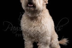 FRIEND_171126_5653-M_Edited_143-copy